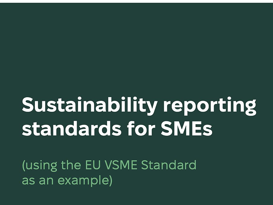 Sustainability reporting standards for SMEs (using the EU VSME Standard as an example)