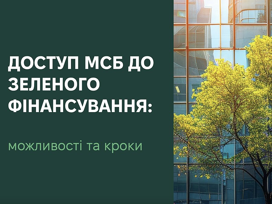 Доступ МСБ до зеленого фінансування: можливості та кроки